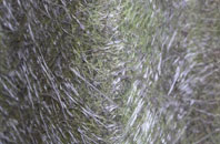 Fen Side fibreglass roof work